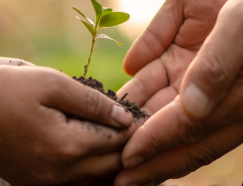 Environmental Studies for USDA Loans